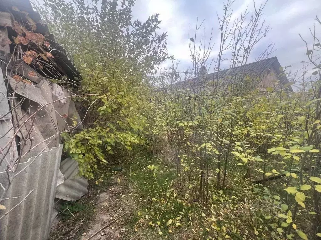 Помещение свободного назначения в Краснодарский край, Кореновск ... - Фото 1