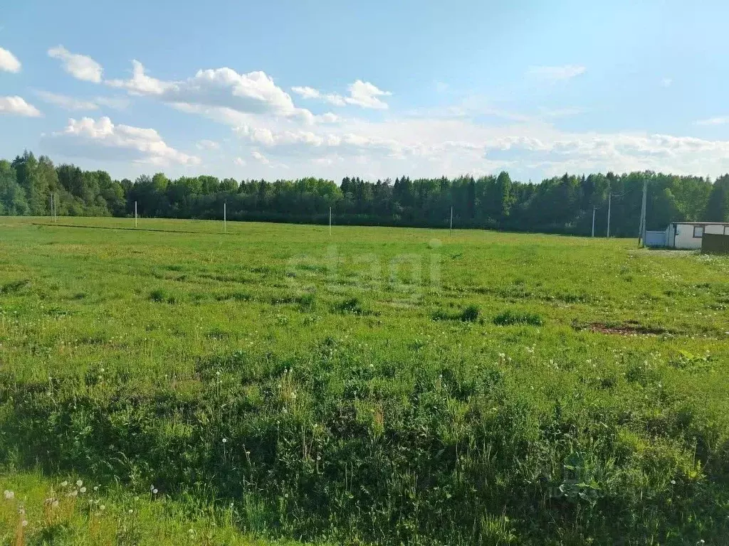 Участок в Вологодская область, д. Стризнево (Старосельский сельсовет)  ... - Фото 0