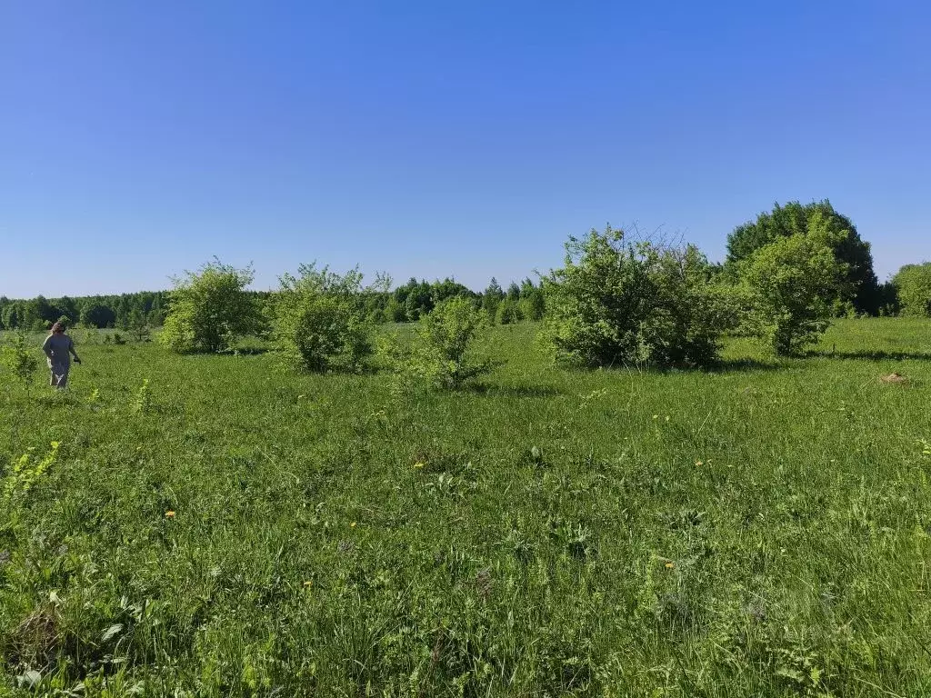 Участок в Нижегородская область, Богородский муниципальный округ, ... - Фото 1