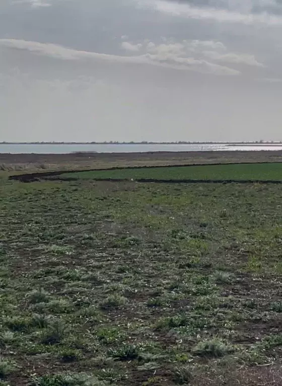 Участок в Крым, Сакский район, с. Штормовое  (6.0 сот.) - Фото 0