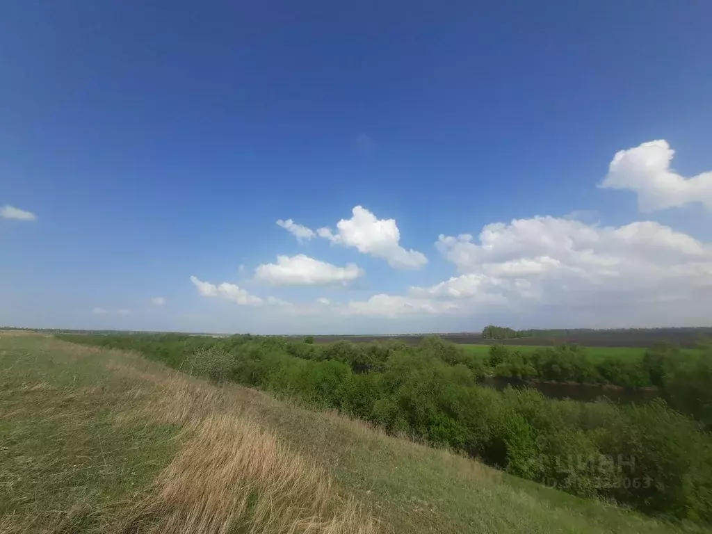 Участок в Липецкая область, Краснинский муниципальный округ, д. ... - Фото 1