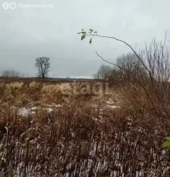 Участок в Калининградская область, Зеленоградский муниципальный округ, ... - Фото 1