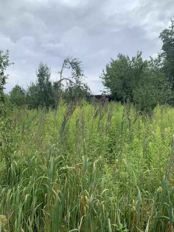 Участок в Калужская область, Ферзиковский район, Бебелевский ... - Фото 2