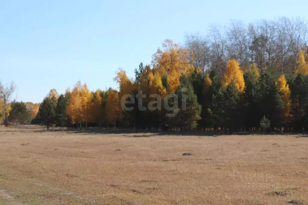 Участок в Тюменская область, Нижнетавдинский муниципальный округ, д. ... - Фото 0