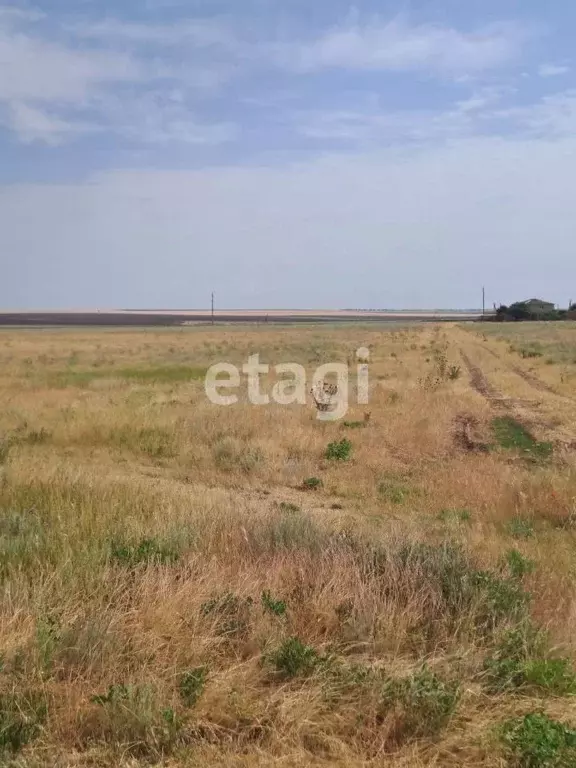 Участок в Крым, Черноморский район, с. Новоивановка ул. Дорожная (7.0 ... - Фото 0