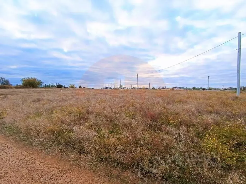 Участок в Крым, Саки ул. Березовая (6.0 сот.) - Фото 2