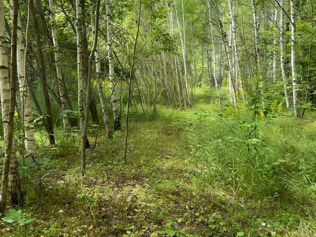 Участок в Нижегородская область, Богородский муниципальный округ, д. ... - Фото 0