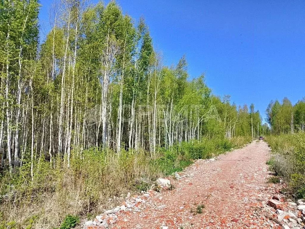 Участок в Тюменская область, Нижнетавдинский район, Моторостроитель ... - Фото 0