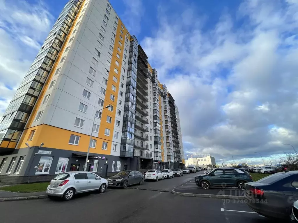 Студия Ленинградская область, Ломоносовский район, Виллозское ... - Фото 2