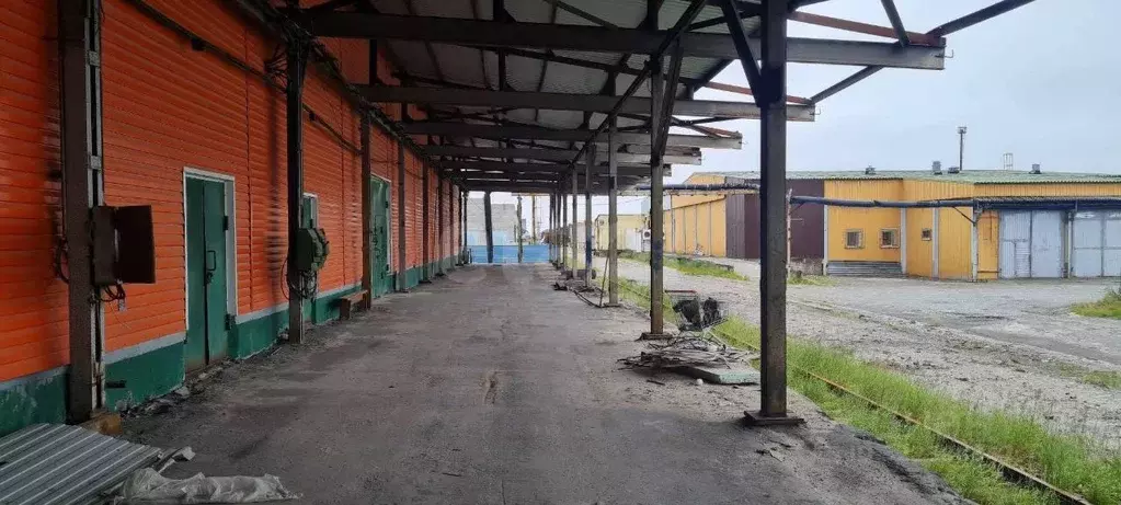 Склад в Ямало-Ненецкий АО, Новый Уренгой ул. Промысловая, 2А/5 (1200 ... - Фото 1