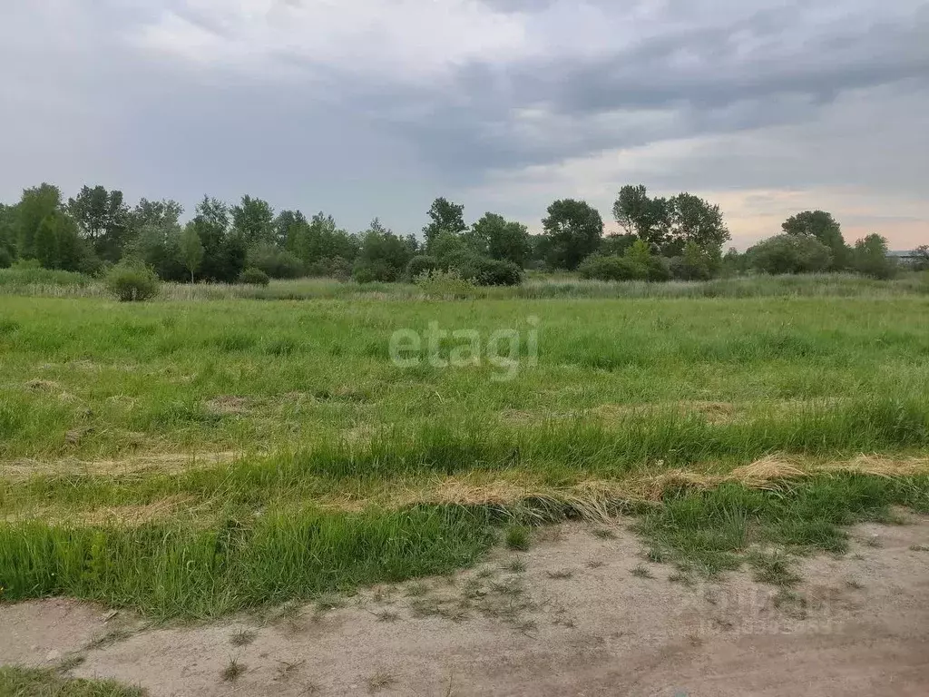 Участок в Хакасия, Алтайский район, с. Белый Яр ул. Строителей (12.0 ... - Фото 0