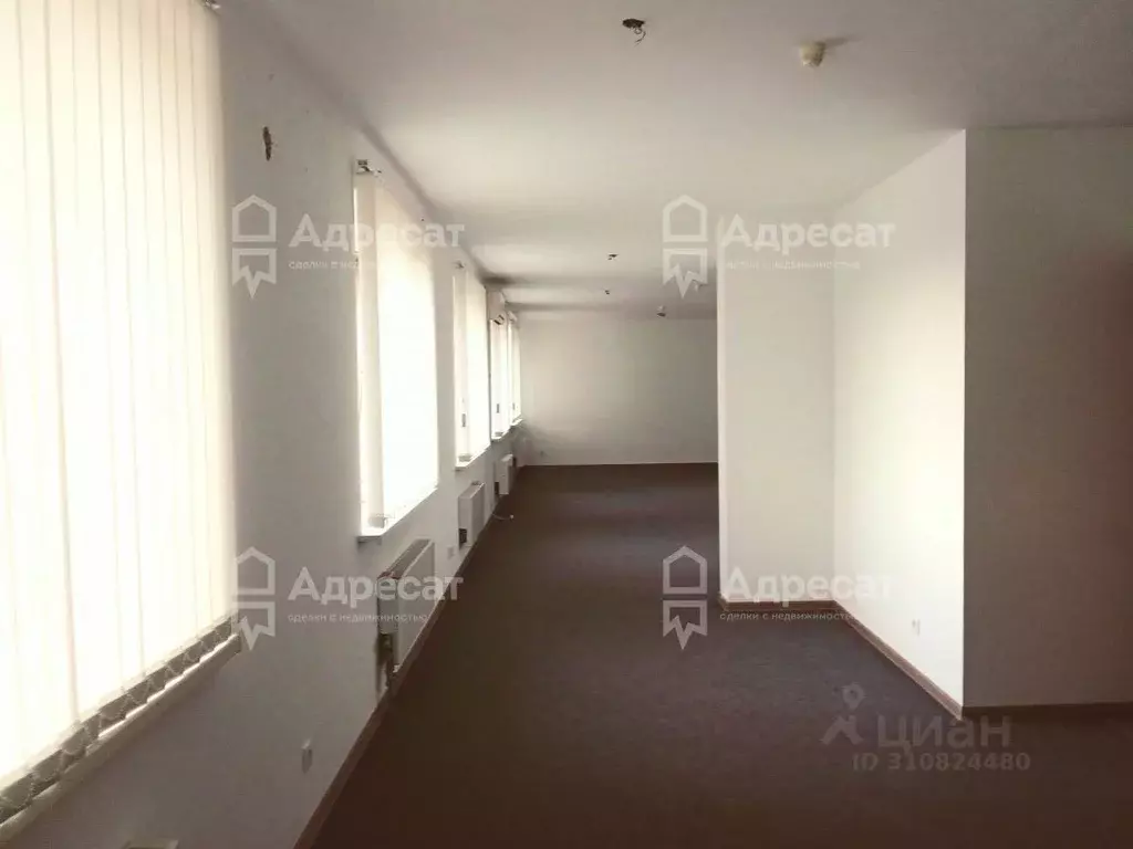 Студия Волгоградская область, Волгоград ул. Имени 64-й Армии, 135А ... - Фото 1