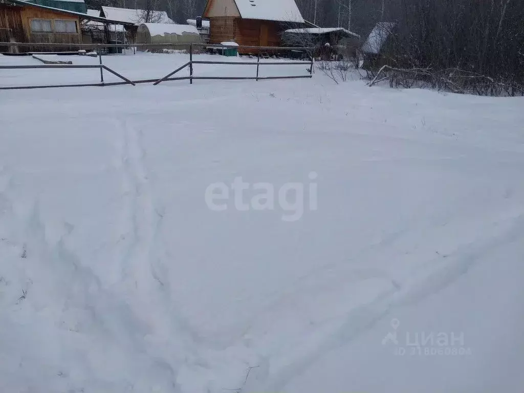 Участок в Новосибирская область, Новосибирск Бытовик СНТ, ул. Дачная ... - Фото 0