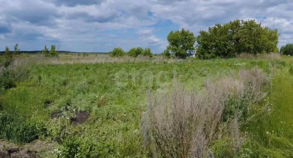 Участок в Алтайский край, Новоалтайск пос. Токарево,  (10.0 сот.) - Фото 1