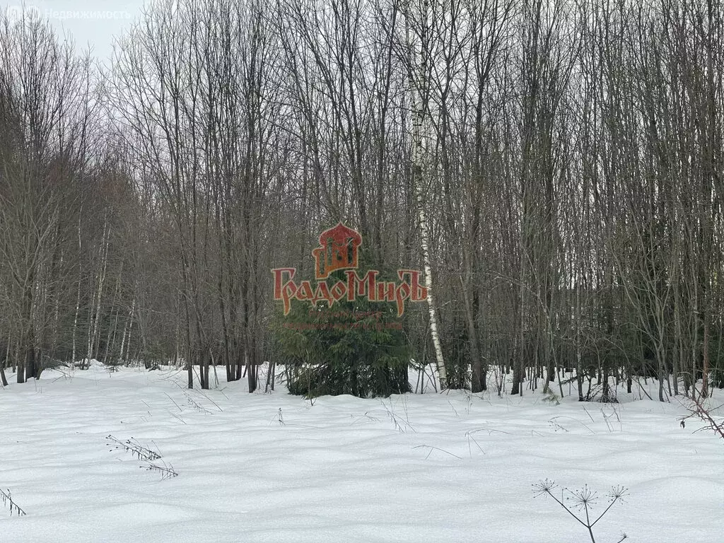 Участок в Сергиево-Посадский городской округ, деревня Старожёлтиково ... - Фото 0