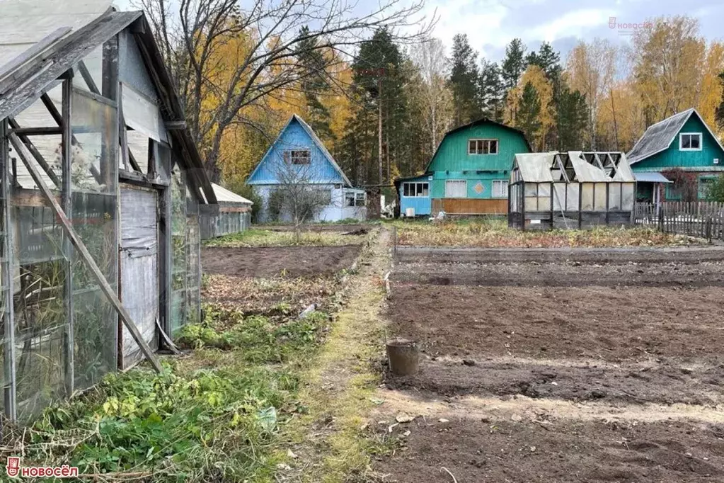 Участок 4сот. (СНТ, ДНП) - Фото 1