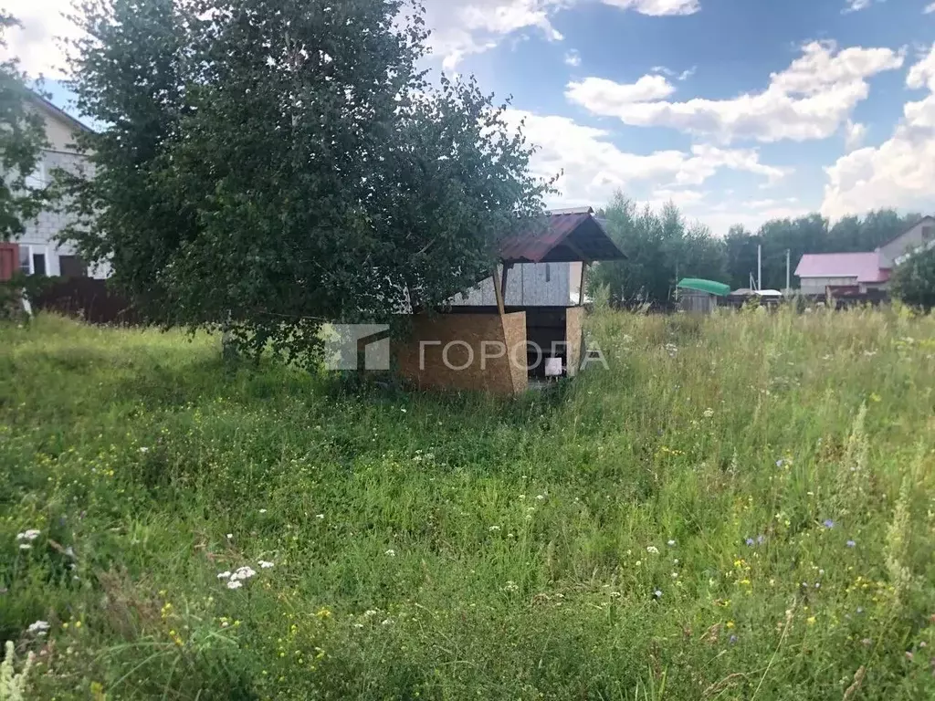 Участок в Новосибирская область, Новосибирский район, Березовский ... - Фото 1