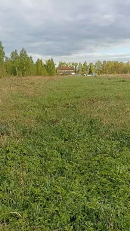 Участок в Нижегородская область, Нижний Новгород городской округ, д. ... - Фото 1