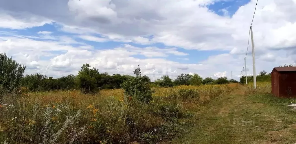 Участок в Белгородская область, Белгородский район, Комсомольское ... - Фото 1