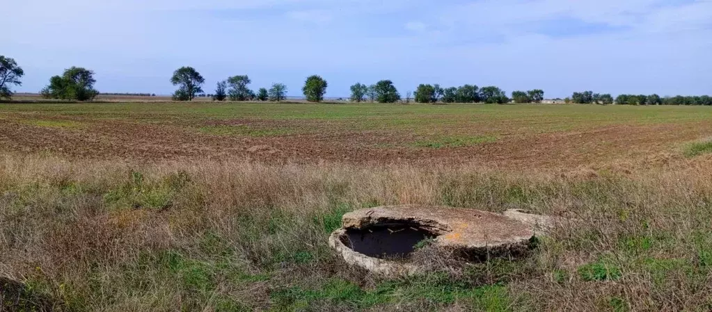 Участок в Крым, Сакский район, с. Добрушино  (131.0 сот.) - Фото 1