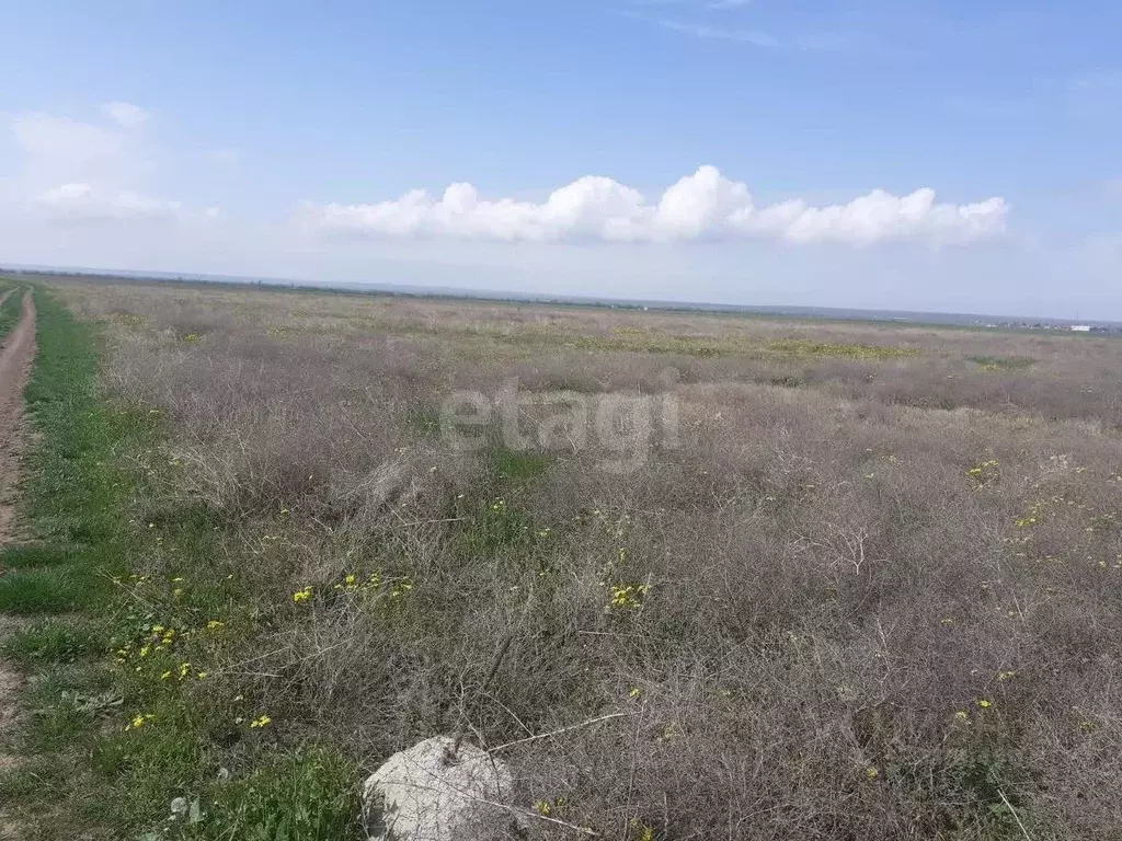 Участок в Крым, Черноморский район, Окуневское с/пос, с. Громово  ... - Фото 2