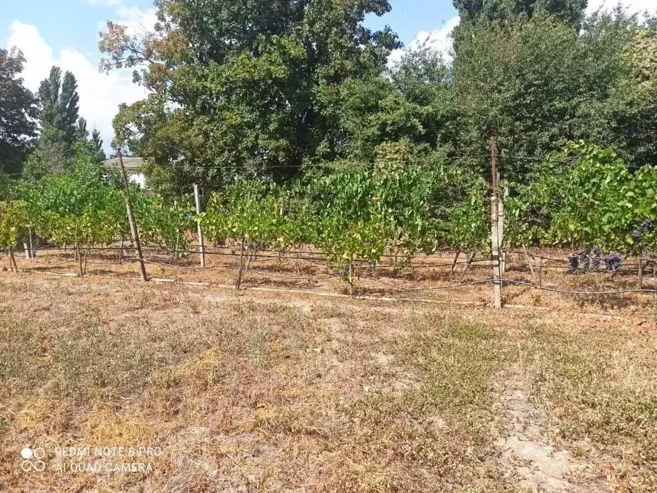 Участок в Крым, Феодосия муниципальный округ, с. Ближнее ул. ... - Фото 1