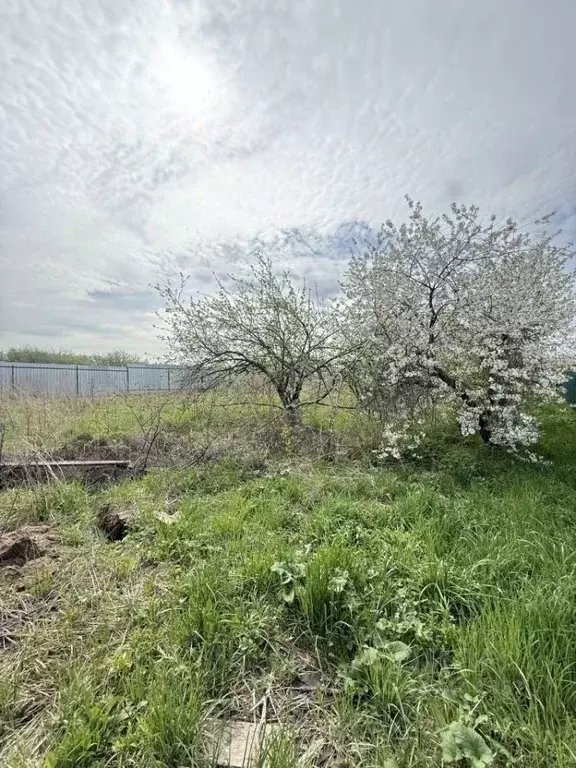 Участок в Нижегородская область, Нижний Новгород с. Шелокша, ул. ... - Фото 1