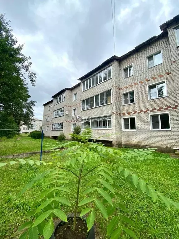 2-к кв. Кировская область, Оричевский район, Стрижи пгт Юбилейная ул., ... - Фото 1