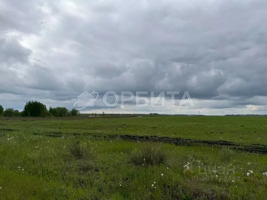 Участок в Тюменская область, Тюменский район, с. Луговое  (12.0 сот.) - Фото 1