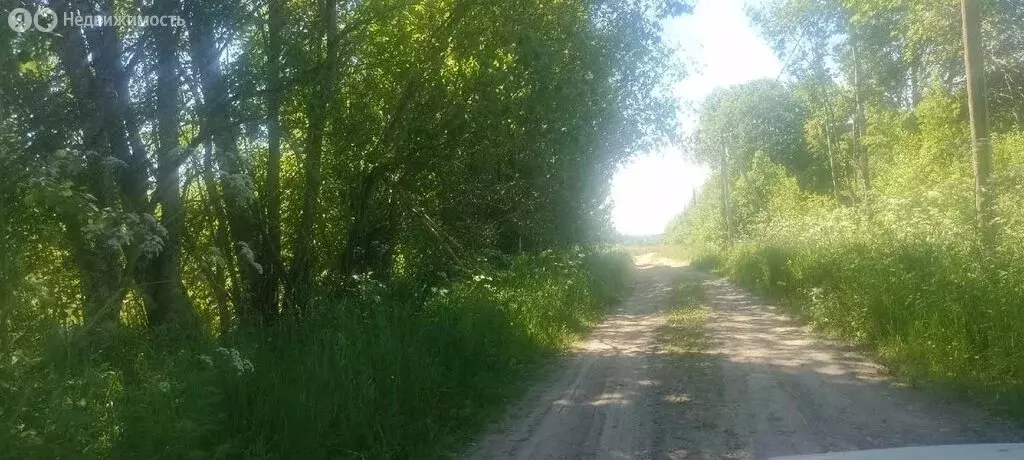 Участок в Вологодский муниципальный округ, деревня Мальгино (Подлесный ... - Фото 2