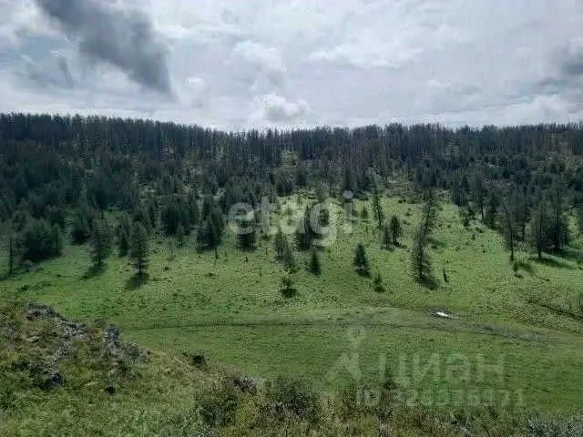 Участок в Алтай, Усть-Канский район, с. Ябоган  (960.0 сот.) - Фото 2