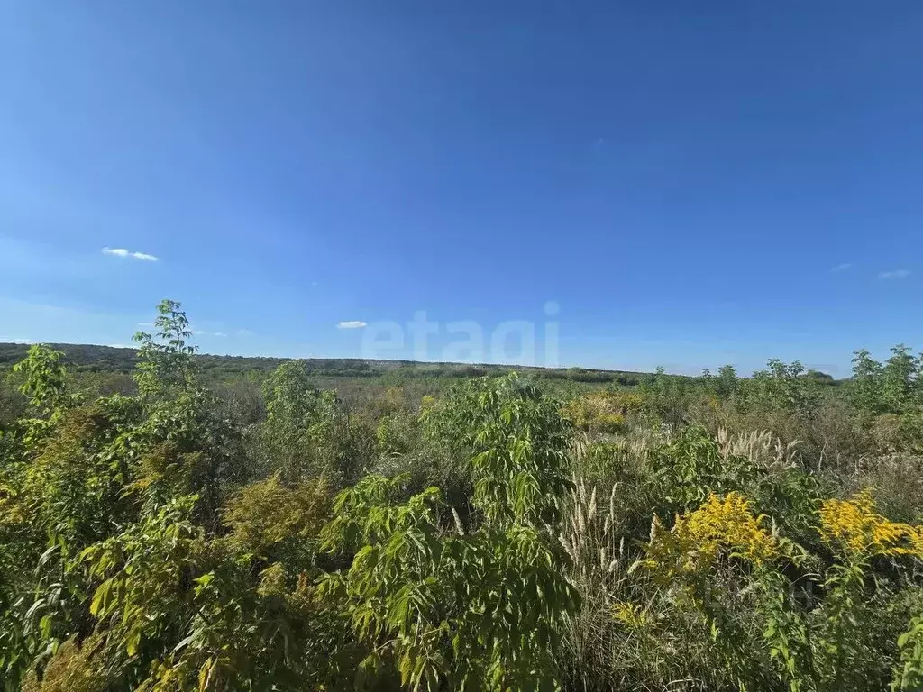 Участок в Воронежская область, Семилукский район, с. Девица, Поречье-2 ... - Фото 2