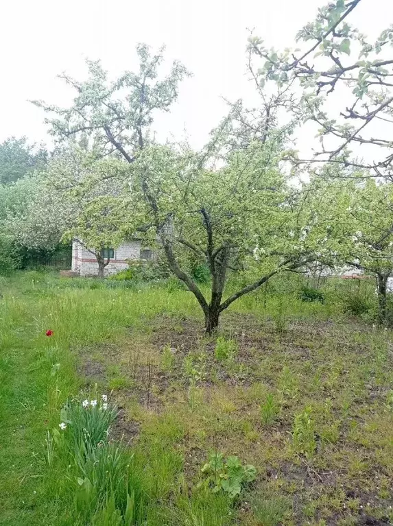 Дача 20 м на участке 7 сот. - Фото 1