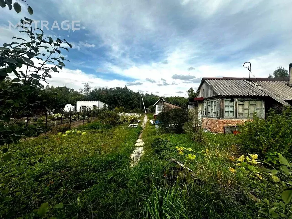 Участок в Новосибирская область, Новосибирск Ложок садовое ... - Фото 1