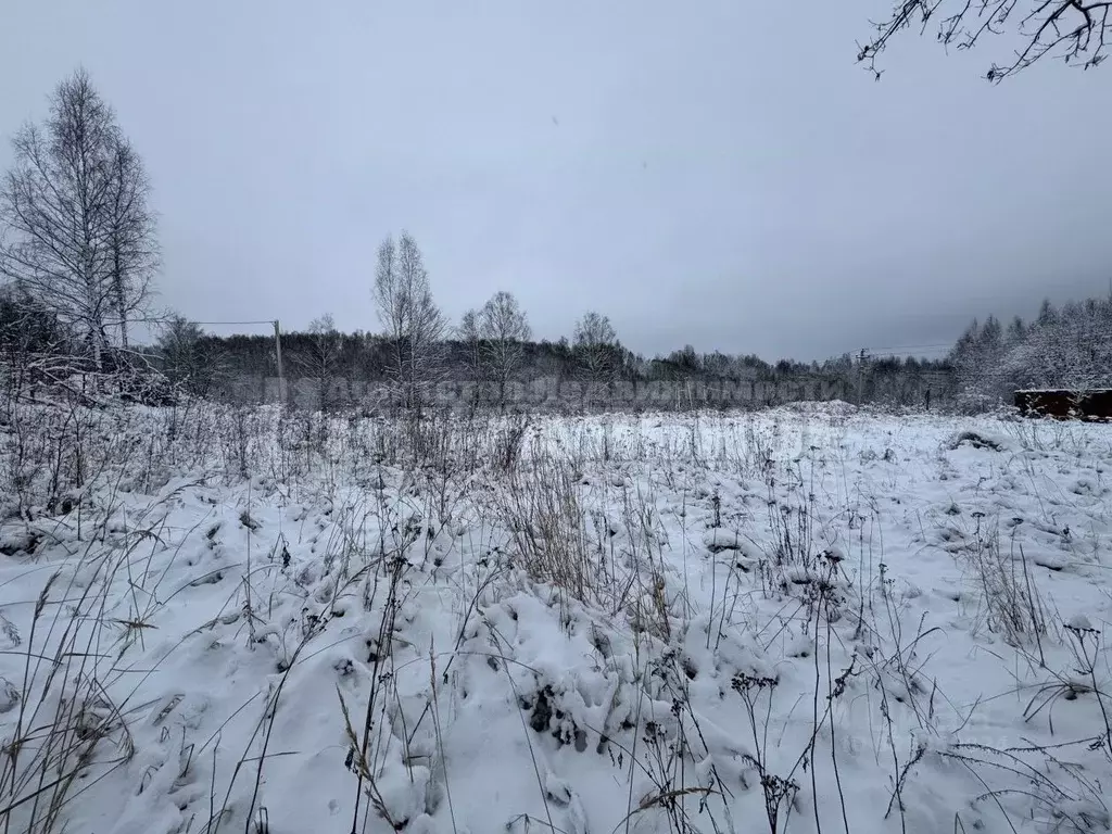 Участок в Смоленская область, Смоленский муниципальный округ, ... - Фото 2
