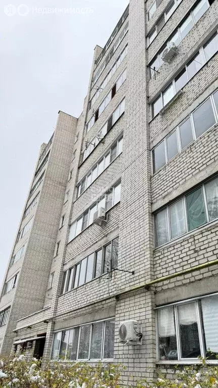 4-комнатная квартира: Воронеж, улица Богдана Хмельницкого, 64 (75 м) - Фото 2