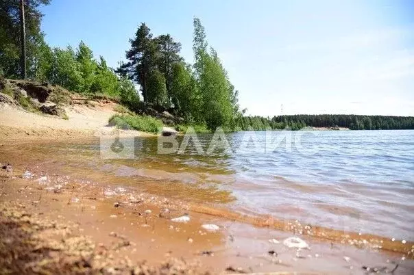 Участок в Ленинградская область, Сосновый Бор Медик кп, ул. Лесная ... - Фото 0