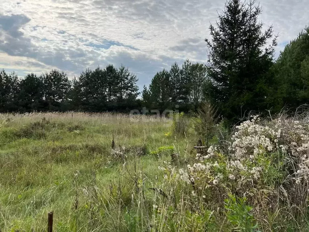 Участок в Заячье-Холмское сельское поселение, село Унимерь (44.8 м) - Фото 0