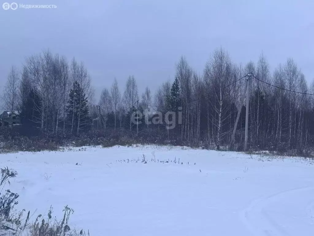 Участок в Нижегородская область, Городецкий муниципальный округ, ... - Фото 0