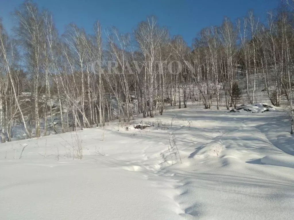 Участок в Алтай, Майминский район, пос. Дубровка Горный пер. (15.0 ... - Фото 2