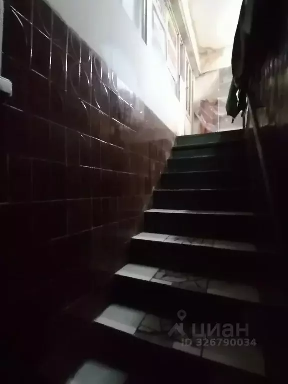 Помещение свободного назначения в Хакасия, Абакан просп. Дружбы ... - Фото 1