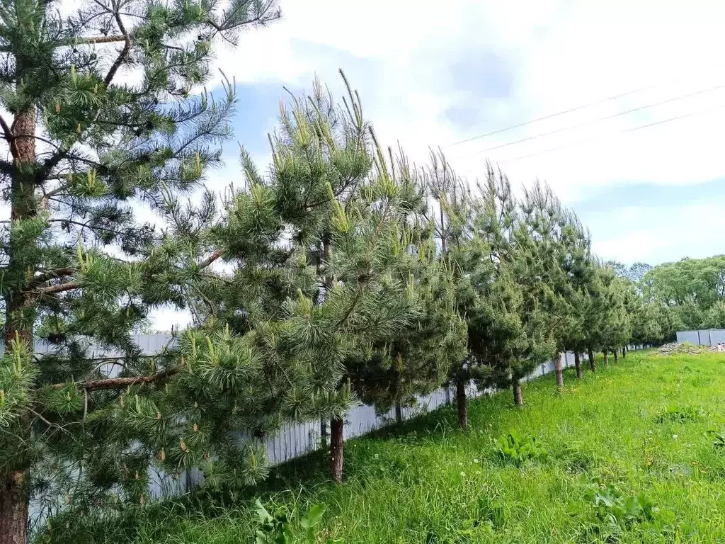 Участок в Владимирская область, Владимир Лунево мкр, ул. Ольховка, 3 ... - Фото 1