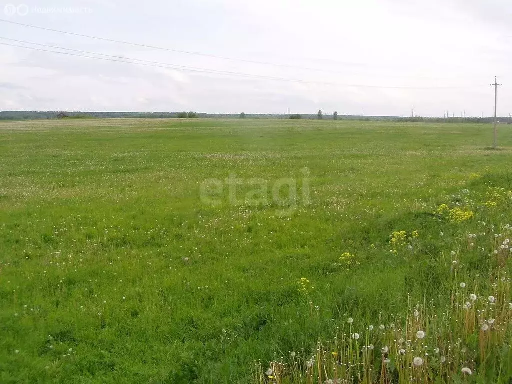 Участок в село Подгорное, Прогонная улица (40 м) - Фото 2