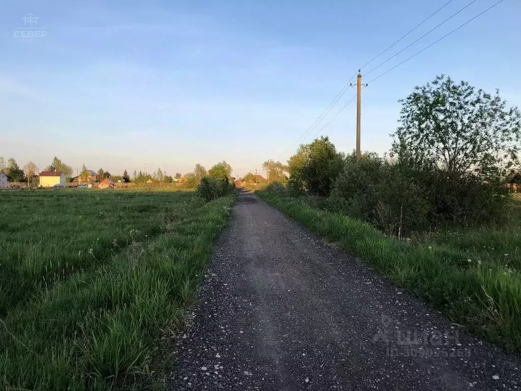 Участок в Новгородская область, Новгородский район, Савинское с/пос, ... - Фото 1