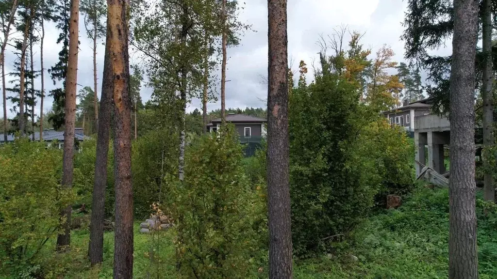 Участок в Московская область, Красногорск городской округ, ... - Фото 1