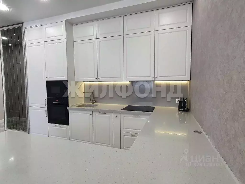 3-к кв. Новосибирская область, Новосибирск Фрунзенский жилмассив,  ... - Фото 2