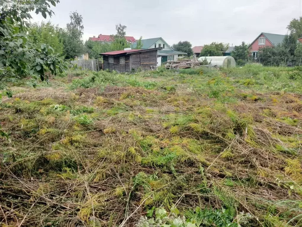 Участок в Нижегородская область, село Дивеево (9 м) - Фото 2