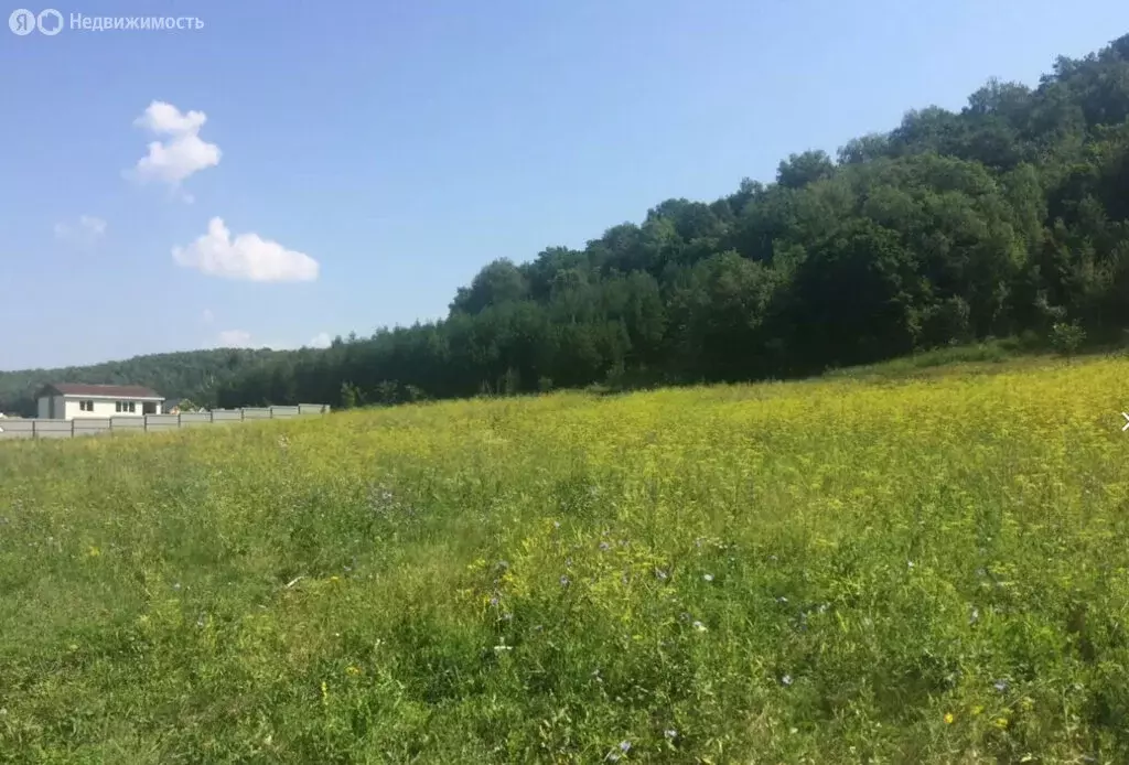 Участок в Ишимбайский район, Ишеевский сельсовет, деревня Урняк (10.8 ... - Фото 2