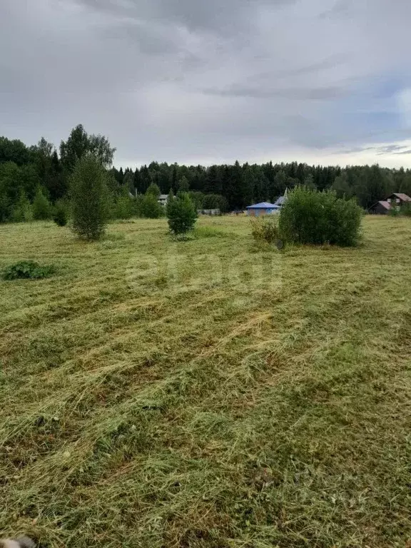 Участок в Вологодская область, д. Сестрилка  (560.0 сот.) - Фото 1