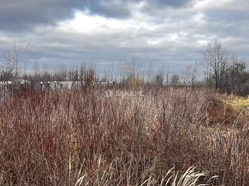 Участок в Владимирская область, Суздальский район, Павловское ... - Фото 2